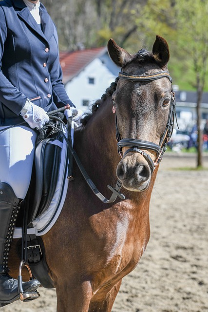公牛伤病更新：杰伦·史密斯&赫尔特等缺阵，多苏穆计划复出
