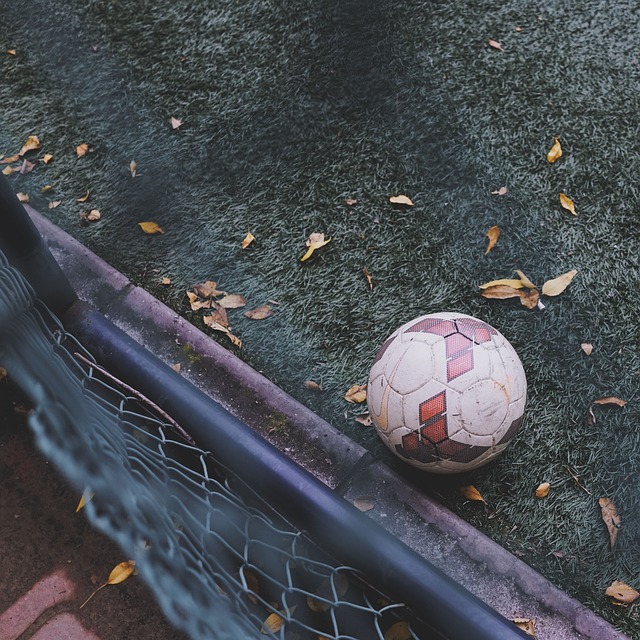 早报：真虐菜和被虐菜