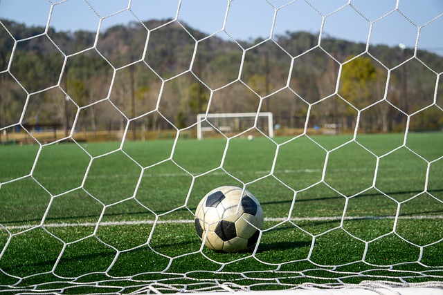 掀起了轩然 掀起了轩然