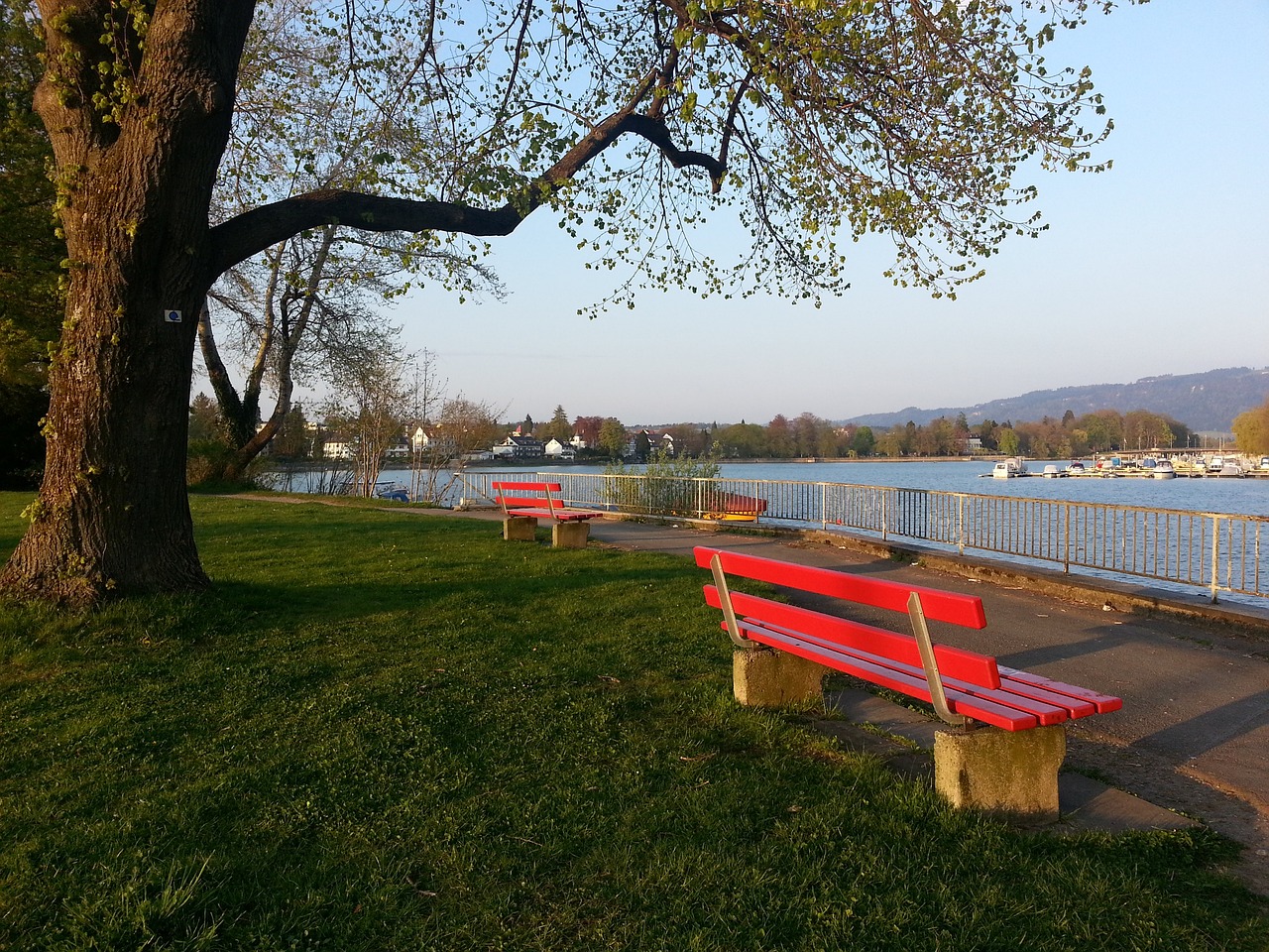 了一段坎坷 了一段坎坷