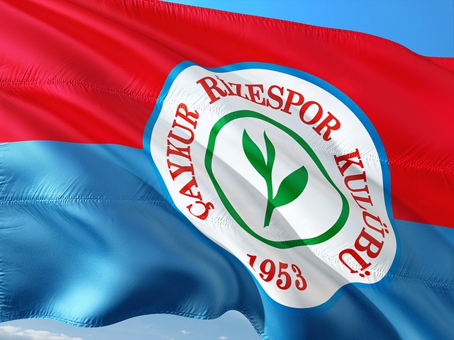 涵盖了不同 涵盖了不同