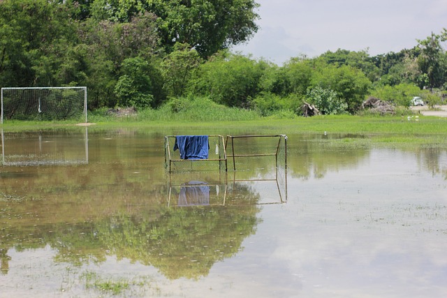在即将到来 在即将到来