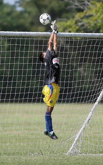 高球员的体 高球员的体