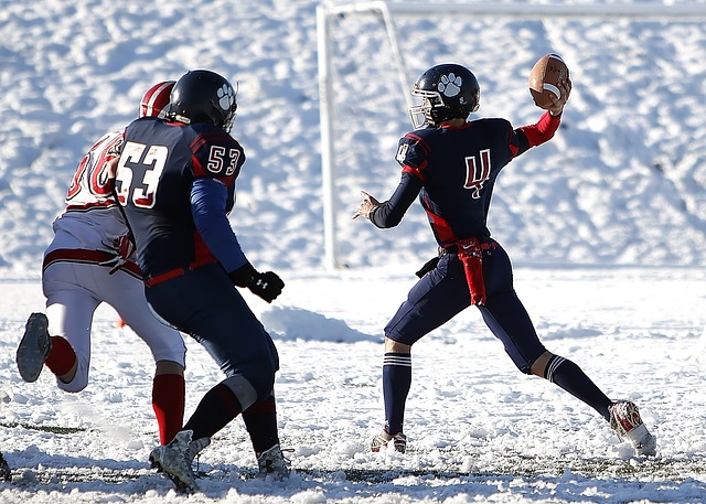 了整个NB 了整个NB