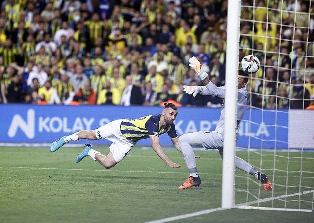 曼联的桑乔 曼联的桑乔