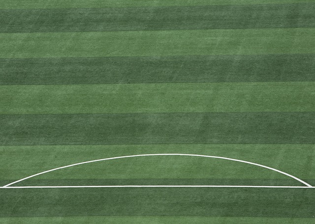 意蕴的较量 意蕴的较量