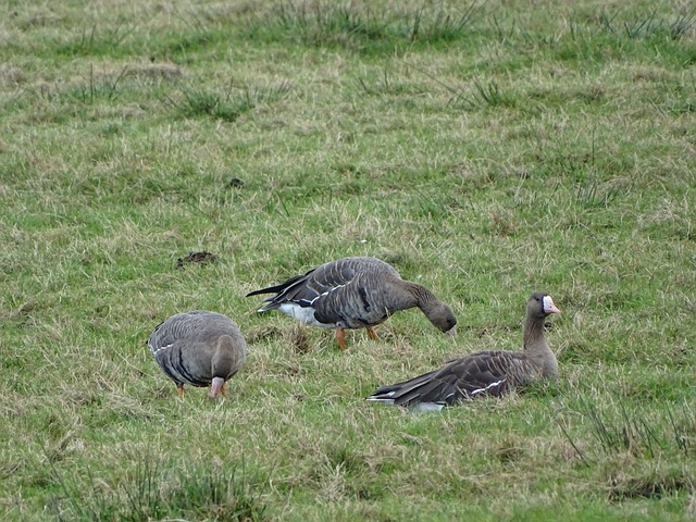 价值产生了 价值产生了